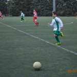 33_Es_Kras_Domio_101