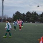 34_Es_Kras_Domio_109