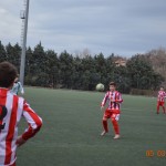 35_Es_Kras_Domio_110