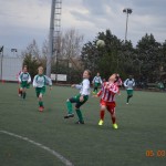 38_Es_Kras_Domio_123