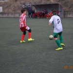 41_Es_Kras_Domio_127