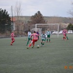 61_Es_Kras_Domio_196