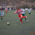 65_Es_Kras_Domio_201