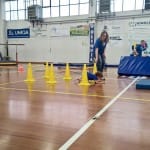 IMG-20160322-WA0009