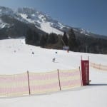 IMG_3810