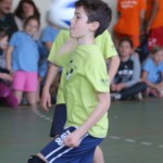 010_MedDvemaOgnjema_Zgonik