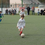 02042016-Kras-B-Altura-b-pulcini-285