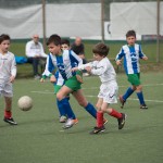 02042016-Kras-B-Altura-b-pulcini-353