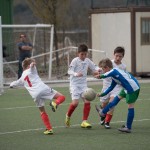 02042016-Kras-B-Altura-b-pulcini-368