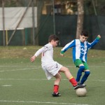 02042016-Kras-B-Altura-b-pulcini-437