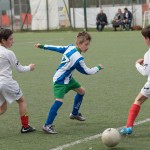 02042016-Kras-B-Altura-b-pulcini-472