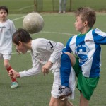 02042016-Kras-B-Altura-b-pulcini-475