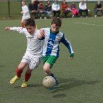 02042016-Kras-B-Altura-b-pulcini-49