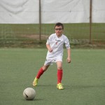 02042016-Kras-B-Altura-b-pulcini-514