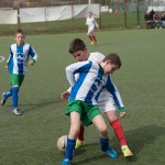 02042016-Kras-B-Altura-b-pulcini-52