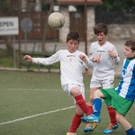 02042016-Kras-B-Altura-b-pulcini-585