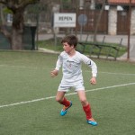 02042016-Kras-B-Altura-b-pulcini-652