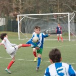 02042016-Kras-B-Altura-b-pulcini-704