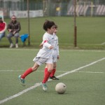 02042016-Kras-B-Altura-b-pulcini-733