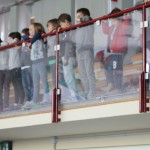 023_MedDvemaOgnjema_Zgonik