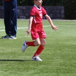 026_nogMlajsiCicibani_Zarja-Vesna