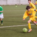 026_nogNajmlajsiCicibani_Vesna-Domio