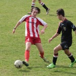 03042016-Kras-Prata-Falchi-Visinale-gr-239