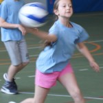 042_MedDvemaOgnjema_Zgonik