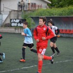 04_EsoKras_Roianese_9