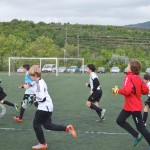 06_EsoKras_Roianese_11