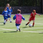 104_nogMlajsiCicibani_Zarja-Vesna