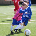 105_nogMlajsiCicibani_Zarja-Vesna