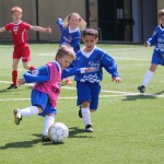 106_nogMlajsiCicibani_Zarja-Vesna