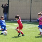 117_nogMlajsiCicibani_Zarja-Vesna