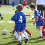 134_nogMlajsiCicibani_Zarja-Vesna