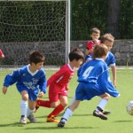 136_nogMlajsiCicibani_Zarja-Vesna