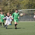 14_16042016-_Kras_B_-_Montuzza_B_piccoli_amici-125