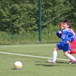 156_nogMlajsiCicibani_Zarja-Vesna