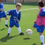 171_nogMlajsiCicibani_Zarja-Vesna