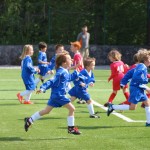 186_nogMlajsiCicibani_Zarja-Vesna