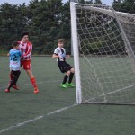 18_EsoKras_Roianese_40