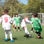 20_16042016-_Kras_B_-_Montuzza_B_piccoli_amici-227