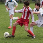 25_10042016-_Kras_-_ISM_Gradisca_gr-464