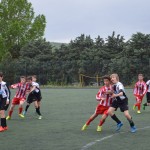 28_EsoKras_Roianese_80