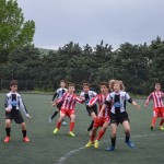 29_EsoKras_Roianese_82