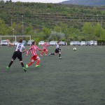 36_EsoKras_Roianese_99