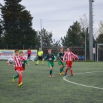 37_Es_Kras_Montuzza_189