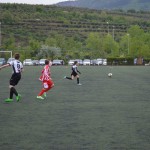 37_EsoKras_Roianese_100