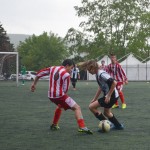 75_EsoKras_Roianese_187