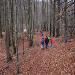 Kucelj-SPDG-10-4-2016-002
